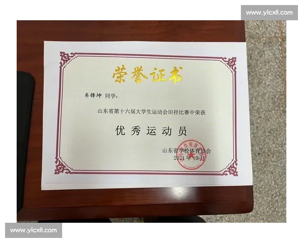 全国体育竞赛成绩排行榜及运动员表现全面分析报告